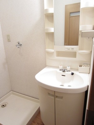 Washroom. Popular independent wash basin in women