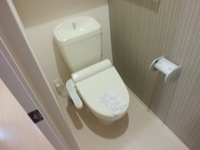 Toilet. Toilet