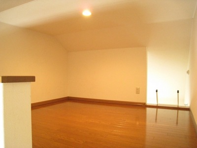 Other room space. Hideout of children! ?