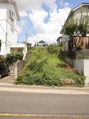 Local land photo. Local appearance (1)