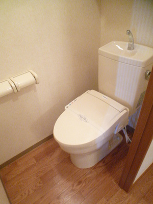 Toilet