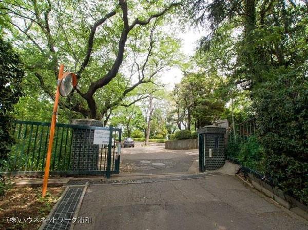 Junior high school. 730m until Kawaguchi Tatsushiba junior high school