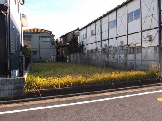 Local land photo. Local Photos