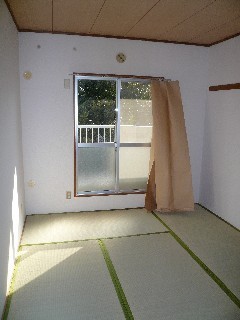 Living and room. Room 2