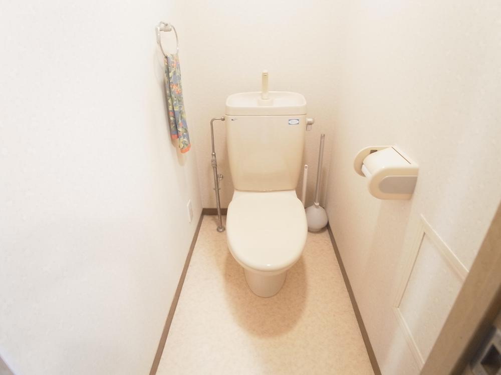 Toilet. Indoor (12 May 2013) Shooting