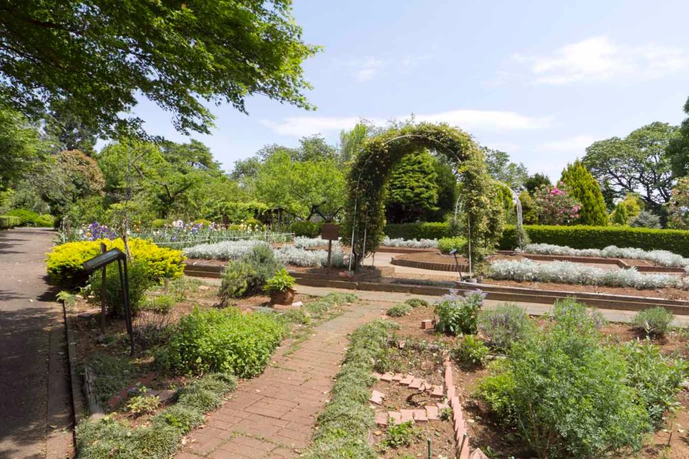 park. Flowers and 680m to the green reconstruction Center