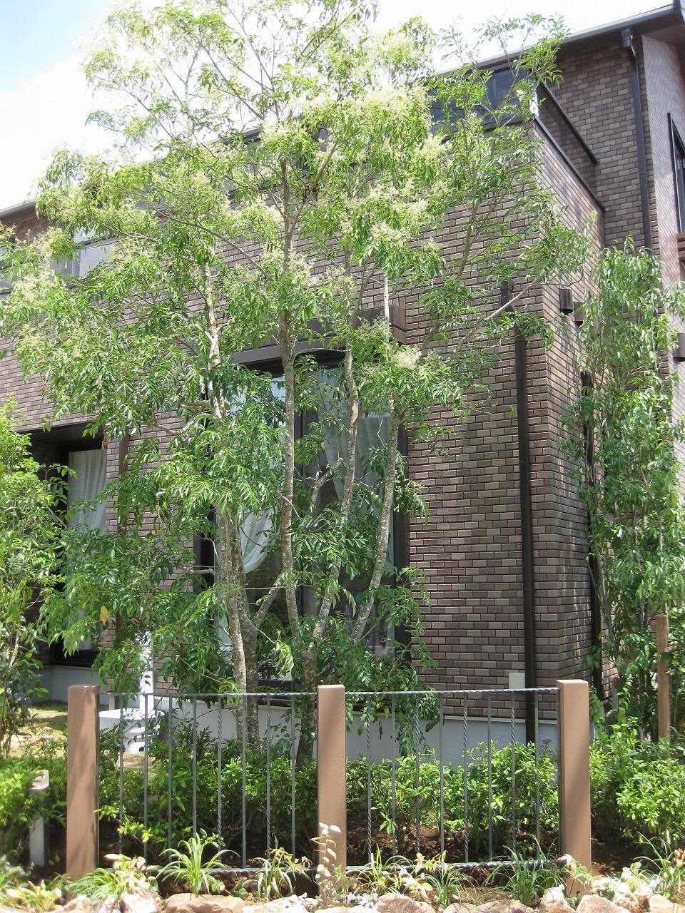 Local appearance photo.  ・ Green building. 