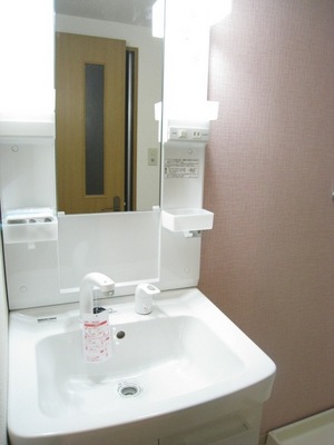 Washroom. Shandore of new