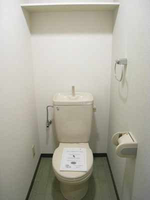 Toilet. There is a storage.