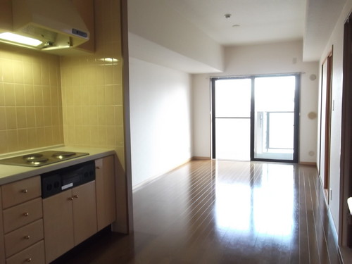 Living and room. Living-dining