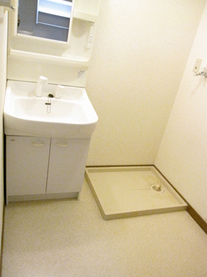 Washroom. Storage rack is useful Dresser