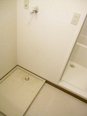 Other Equipment. Washing machine in the room is useful to think of the flow line of the housework