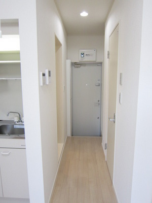 Entrance. It is such space to the front door