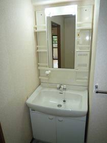 Washroom. Shower is Dresser