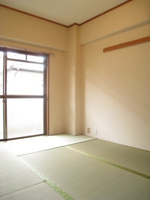 Living and room. It will be bright, large windows