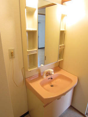 Washroom. Independence is a wash basin with