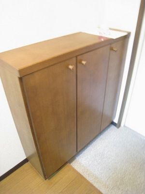 Entrance. There cupboard in the front door