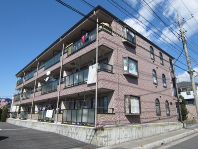 Building appearance. Mansion Type with on-site parking