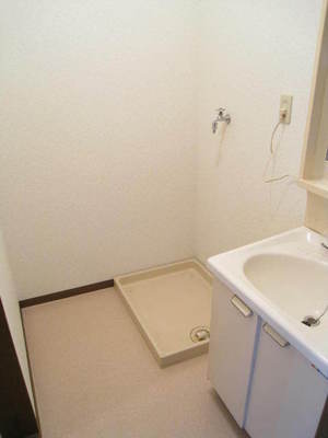 Washroom. There is storage room washing machine