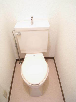 Toilet. Toilet with cleanliness