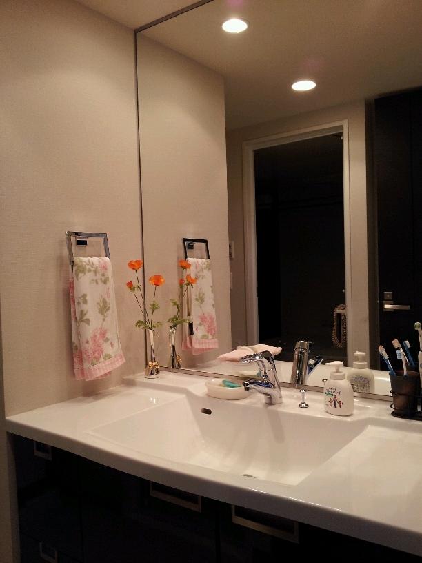 Wash basin, toilet. 2013 May shooting