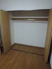 Living and room. Spacious closet