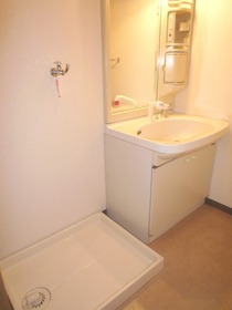 Washroom. Shampoo dresser