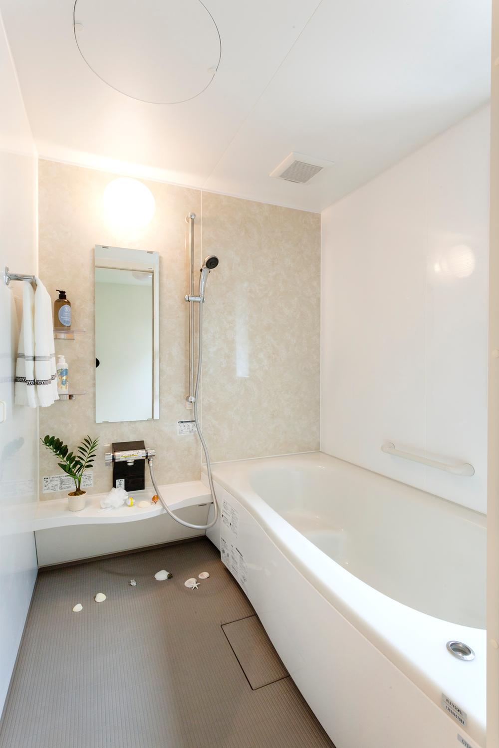 Bathroom. Building 2 model building (October 2013) Shooting