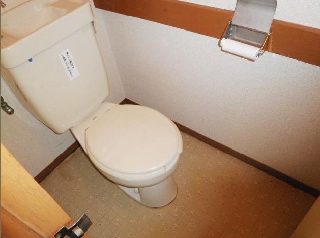 Toilet. Toilet beautifully renovated.