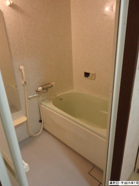 Bathroom. Indoor (July 2013) Shooting