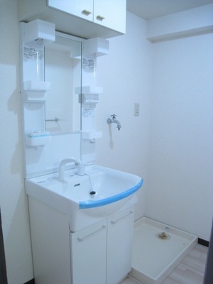 Washroom. Clean and functional wash basin