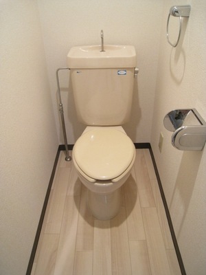 Toilet. Toilet with cleanliness