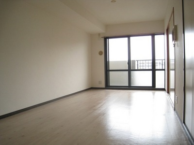 Living and room. Spacious Western-style