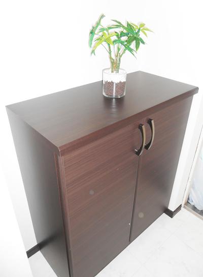 Entrance. Shoe box