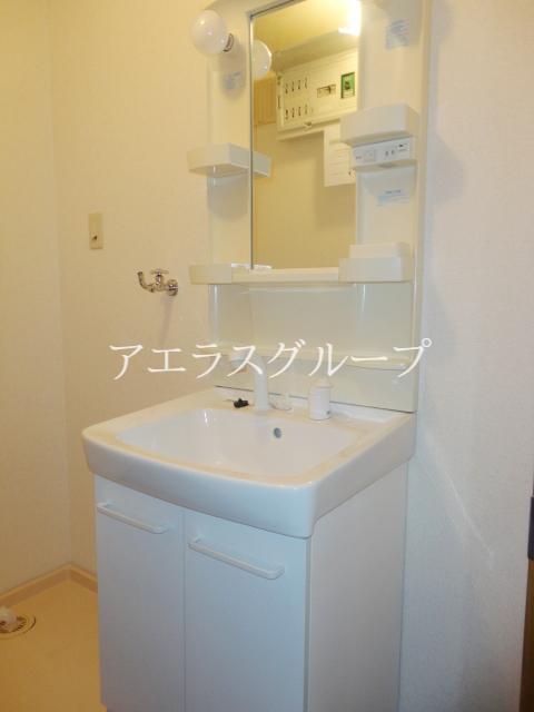 Washroom. Grooming check in the busy morning shampoo dresser also