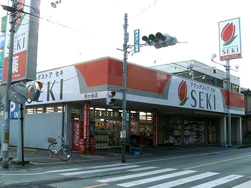 Drug store. Drugstore cough up Hatogaya shop 1744m