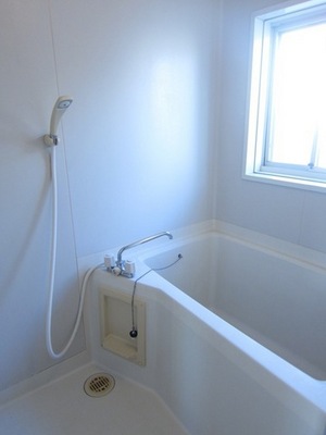 Bath. Ample bathroom
