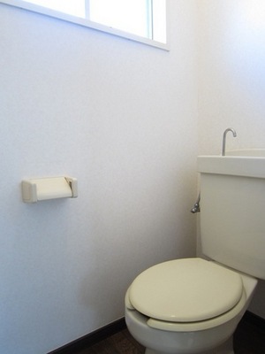 Toilet. Comfortable with Western-style toilet