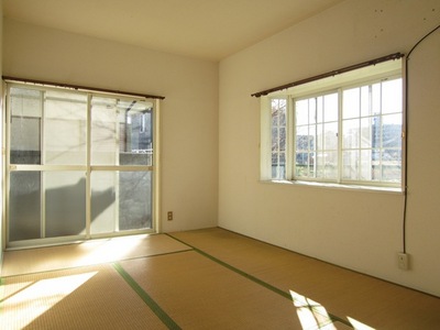 Living and room. Bright two-sided lighting Japanese-style room