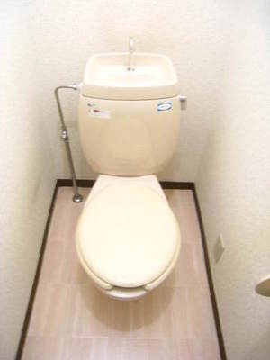 Toilet. Comfortable use in a Western-style toilet
