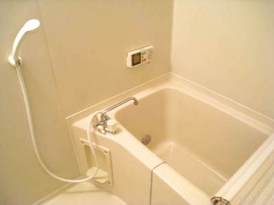 Bath. Economic add-fired function with bathroom