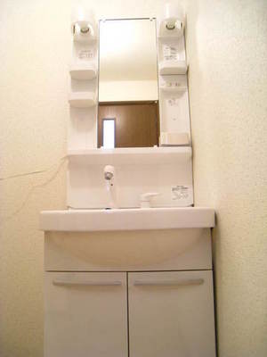 Washroom. Convenient shampoo dresser in a busy morning