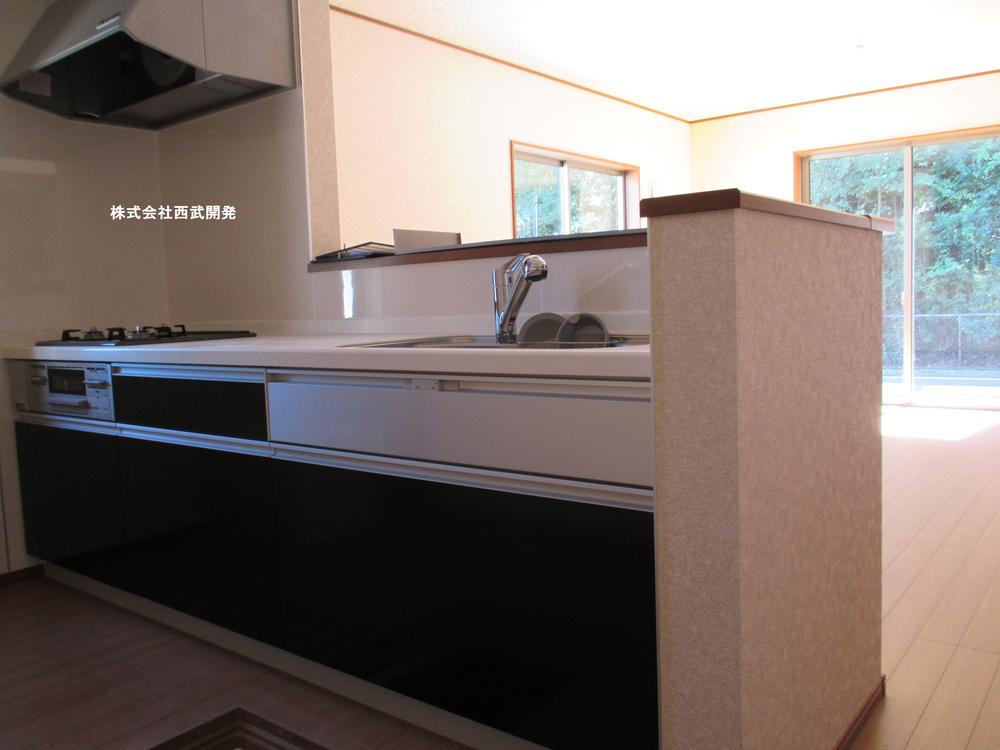 Kitchen. Indoor (10 May 2013) Shooting