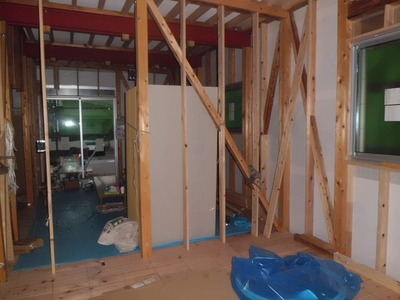 Living and room. Western-style (under construction)