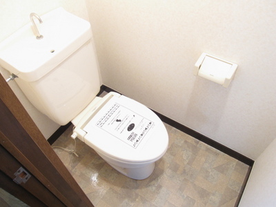 Toilet. Spacious toilet
