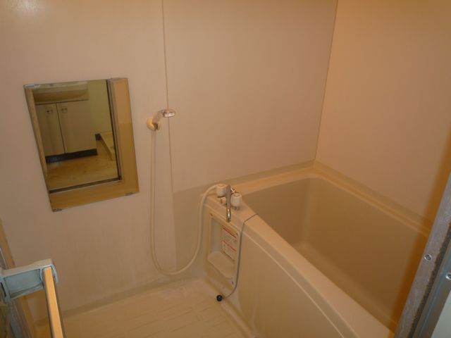 Bath. With mirror of the bath