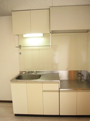 Kitchen. Gas stove is installed Allowed