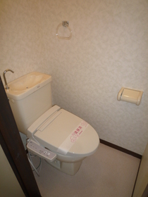 Toilet. Warm water washing toilet seat