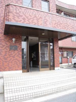 Entrance. Stylish appearance of the total tiled