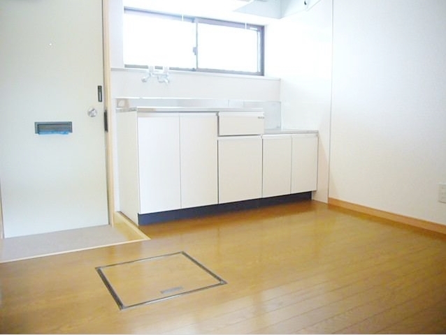 Entrance. It is bright and airy also good when there is a window in the kitchen. 